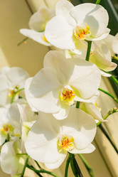 Similar image 21235399