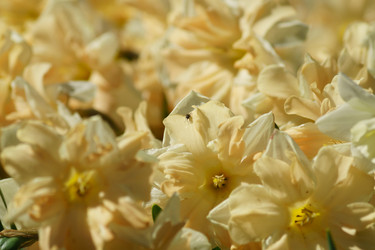 Similar image 21253802