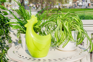 Similar image 21253804