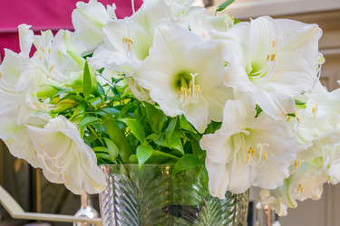 Similar image 21253807