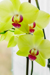 Similar image 21253809