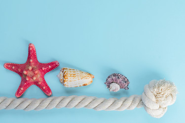 Similar image 21254647