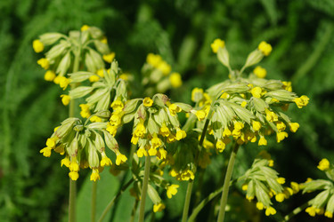 Similar image 21254648