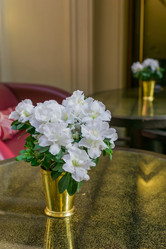 Similar image 21254731