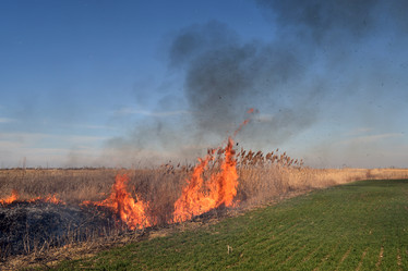 Similar image 21248790