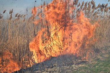 Similar image 21248791