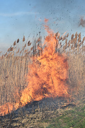 Similar image 21248792