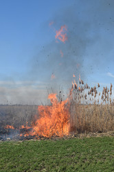 Similar image 21248797