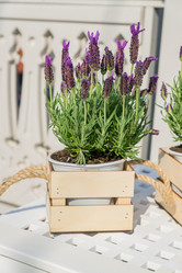 Similar image 21254742