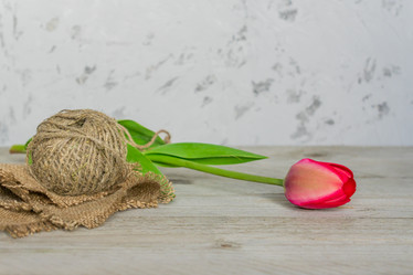 Similar image 21254746