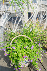 Similar image 21254748