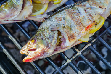 Similar image 21255519