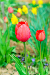 Similar image 21235149