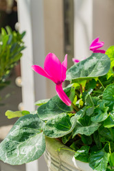 Similar image 21235154