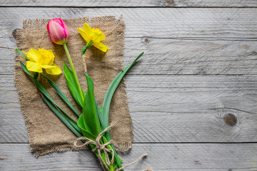 Similar image 21235163