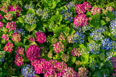 Similar image 21235309