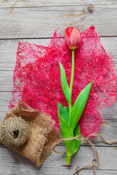 Similar image 21235408