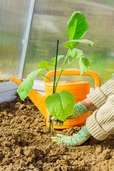 Similar image 21235427