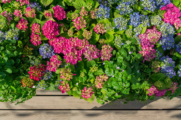 Similar image 21235570