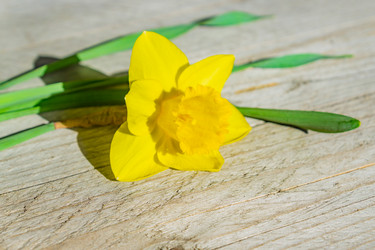 Similar image 21235571