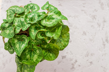 Similar image 21235572