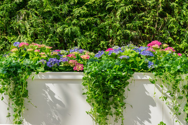 Similar image 21235573