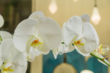 Similar image 21235574