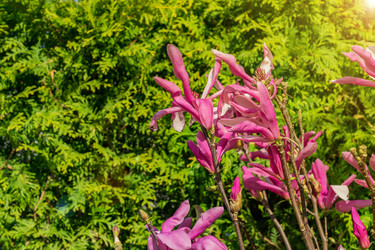 Similar image 21235576