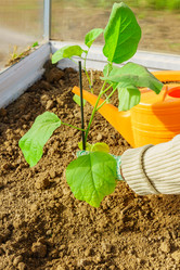 Similar image 21235578