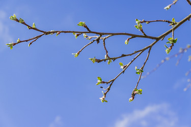 Similar image 21235580