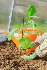 Similar image 21243230