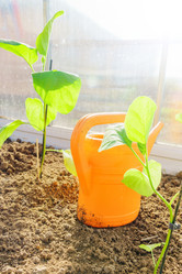 Similar image 21243232