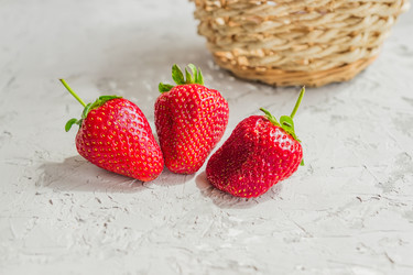 Similar image 21253732