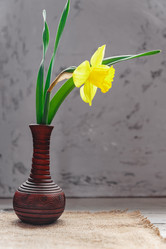 Similar image 21253733