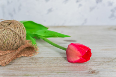 Similar image 21253841