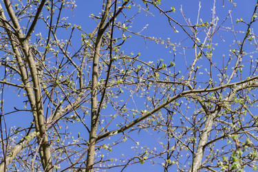 Similar image 21253846