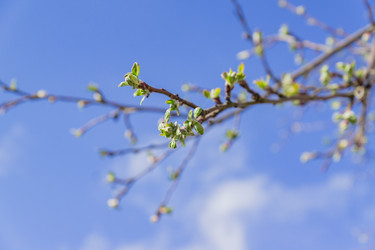 Similar image 21253848