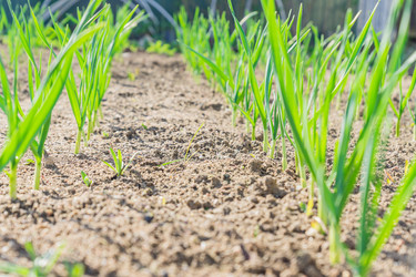 Similar image 21253850