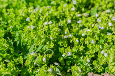 Similar image 21253851