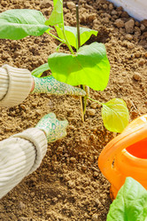 Similar image 21254425