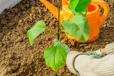 Similar image 21254426