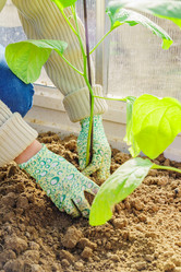 Similar image 21254544