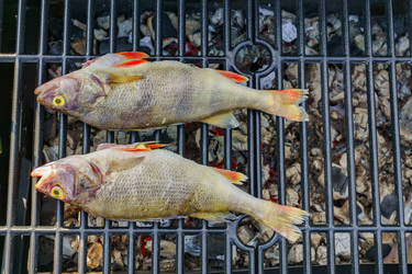 Similar image 21254545