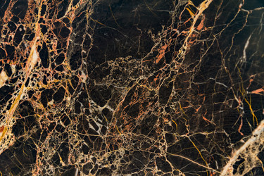 Similar image 21254656