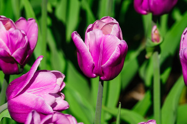 Similar image 21255896