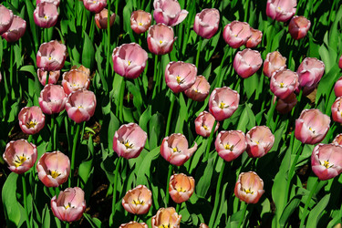 Similar image 21257052