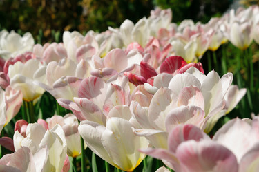 Similar image 21257073