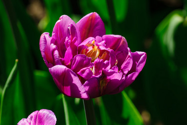 Similar image 21257108