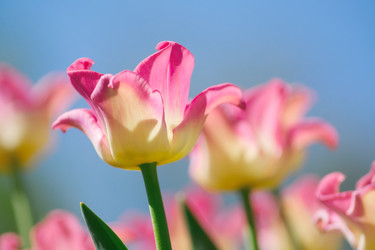 Similar image 21257111