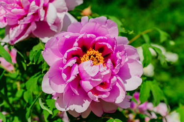 Similar image 21257509